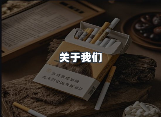 关于我们